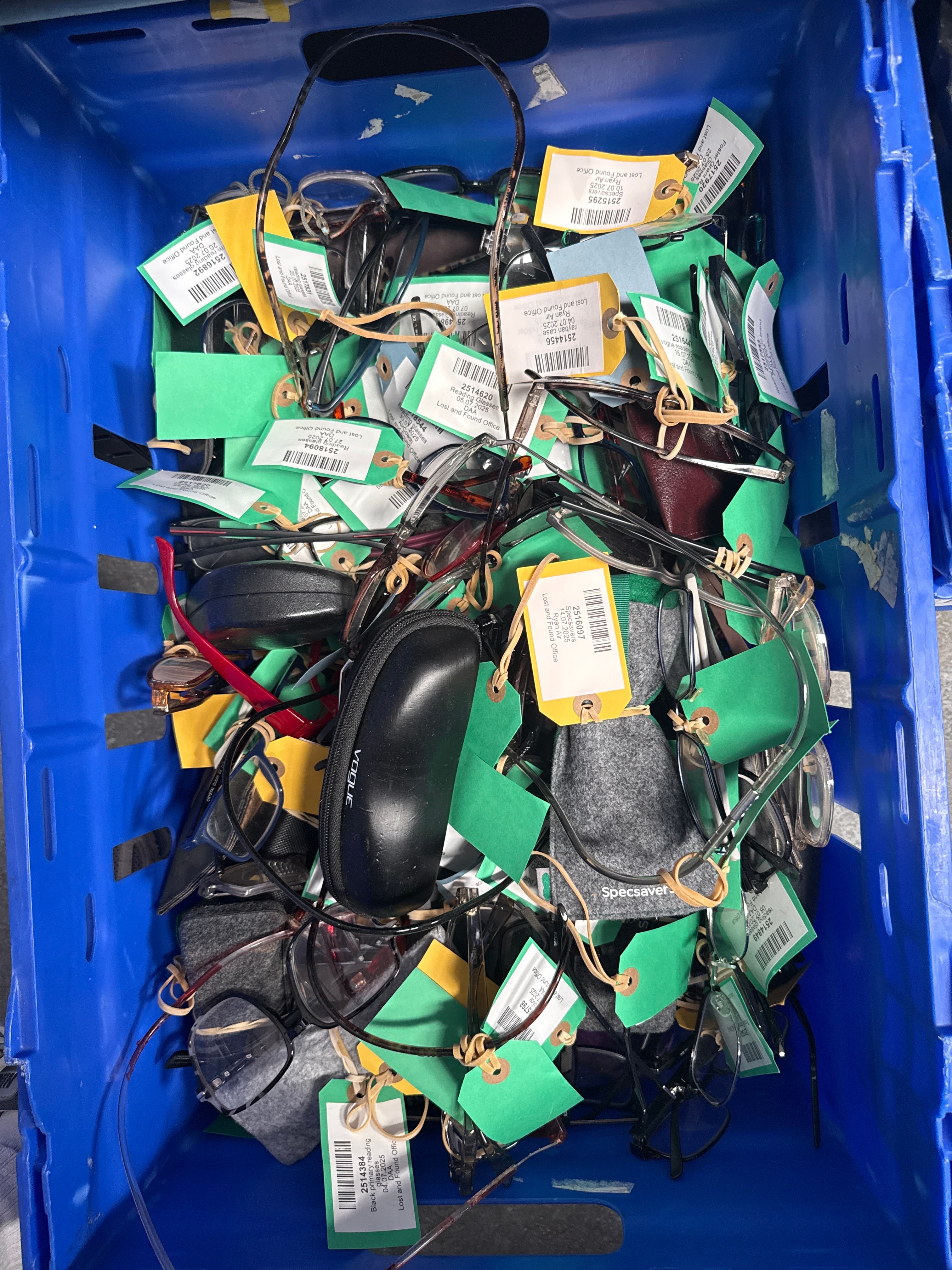 Assortment of sunglasses and reading glasses